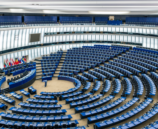 La IXe législature se termine : il est temps de faire le bilan de l'activité des eurodéputés français.